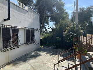 Οικόπεδο 1.000 τ.μ. προς πώληση