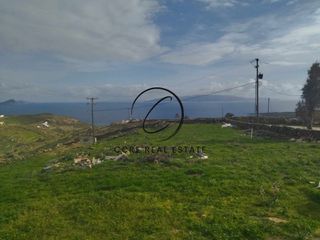 Οικόπεδο 12.000 τ.μ. για πώληση