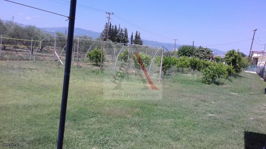 Οικόπεδο 2.000 τ.μ. προς πώληση, Βοχαϊκό