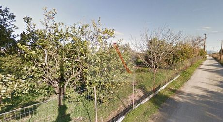 Land plot 819 sqm for sale