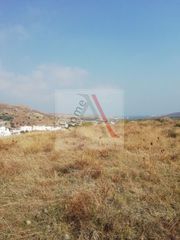 Αγροτεμάχια 1.700 τ.μ. για πώληση
