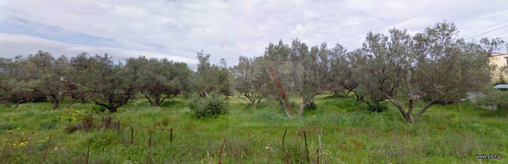 Οικόπεδο 12.900 τ.μ. προς πώληση, Παραλία Αυλίδας