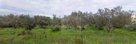 Οικόπεδο 12.900 τ.μ. προς πώληση