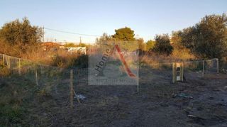 Αγροτεμάχια 225 τ.μ. για πώληση