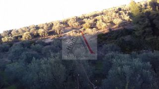 Αγροτεμάχια 13.000 τ.μ. για πώληση