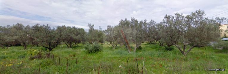 Οικόπεδο 12.900 τ.μ. για πώληση, Εύβοια, Αυλίδα
