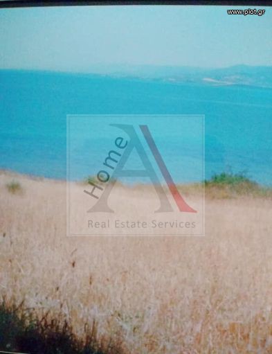 Οικόπεδο 971 τ.μ. προς πώληση, Βασιλίνα