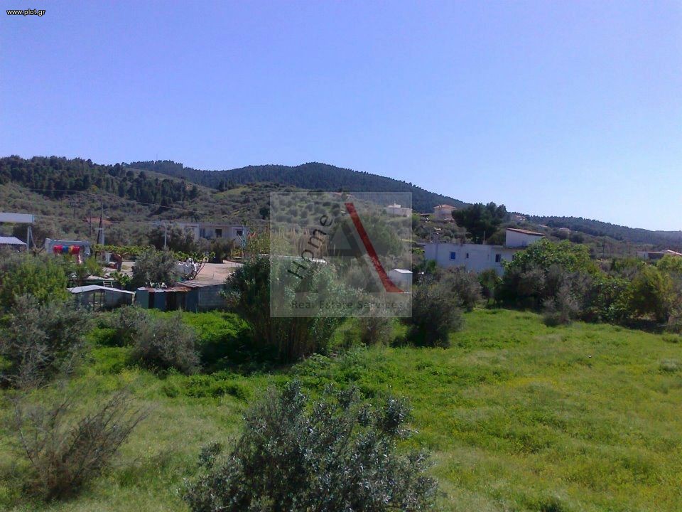 Μονοκατοικία 250 τ.μ. προς πώληση, Πεύκη Αρτεμισίου