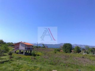 Μονοκατοικία 250 τ.μ. προς πώληση, Πεύκη Αρτεμισίου-thumb-6