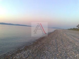 Μονοκατοικία 250 τ.μ. προς πώληση, Πεύκη Αρτεμισίου-thumb-10