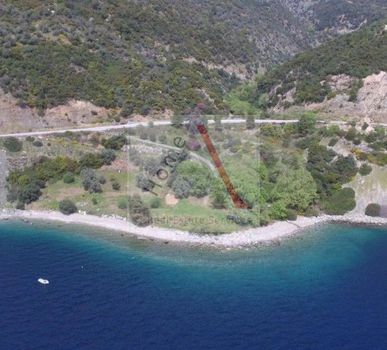 Αγροτεμάχια 11.000 τ.μ. προς πώληση