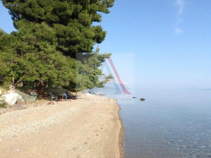 Αγροτεμάχια 11.000 τ.μ. προς πώληση, Άνω Ήλια