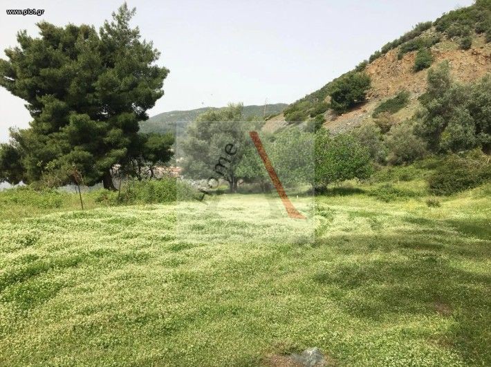 Αγροτεμάχια 11.000 τ.μ. προς πώληση, Άνω Ήλια