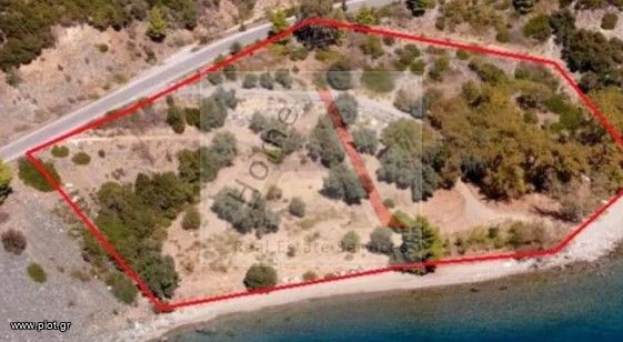 Αγροτεμάχια 11.000 τ.μ. προς πώληση, Άνω Ήλια
