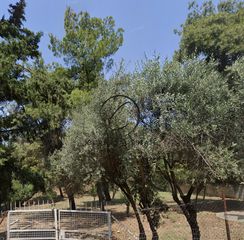 Οικόπεδο 2.220 τ.μ. προς πώληση