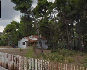 Οικόπεδο 4.200 τ.μ. προς πώληση