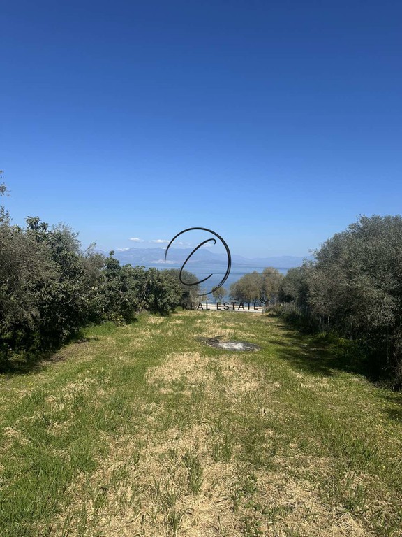 Οικόπεδο 906 τ.μ. προς πώληση, Πεταλού
