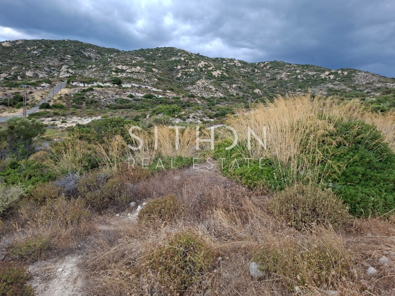 Οικόπεδο 500 τ.μ. προς πώληση, Συκιά Τορώνης