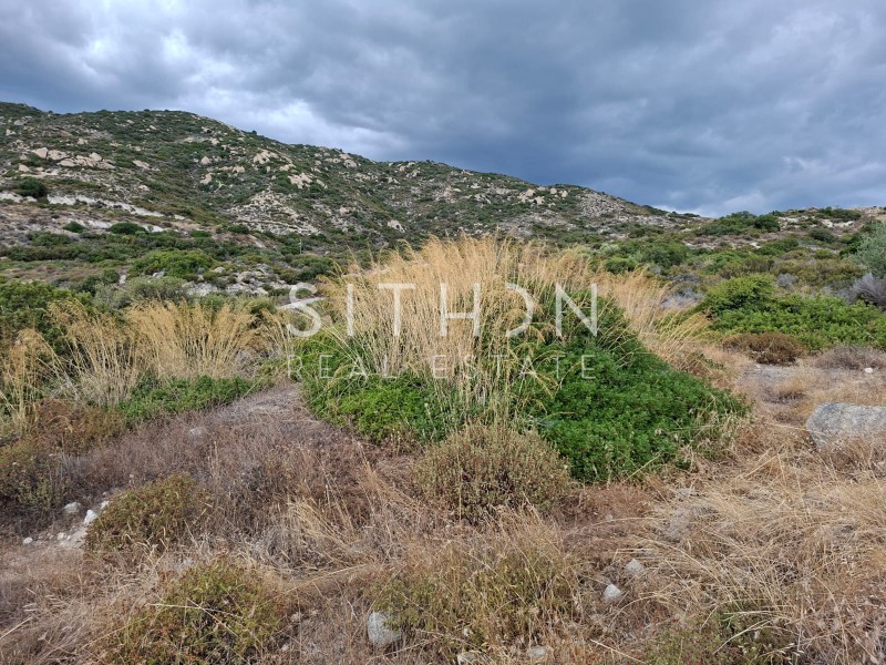 Οικόπεδο 500 τ.μ. προς πώληση, Συκιά Τορώνης