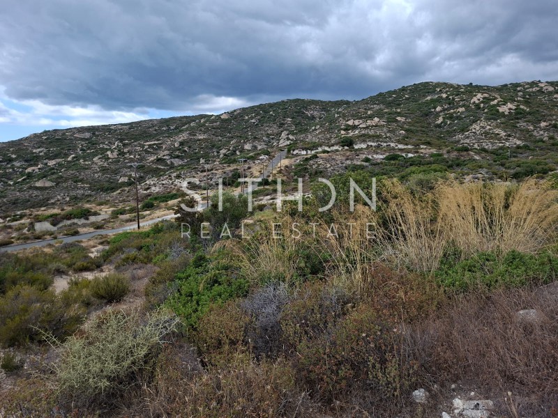 Οικόπεδο 500 τ.μ. προς πώληση, Συκιά Τορώνης