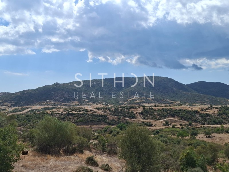 Οικόπεδο 500 τ.μ. προς πώληση, Σκάλα Συκέας