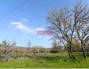 Αγροτεμάχια 784 τ.μ. για πώληση, Ν. Ρεθύμνου, Ρέθυμνο-thumb-2