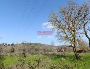 Αγροτεμάχια 784 τ.μ. για πώληση, Ν. Ρεθύμνου, Ρέθυμνο-thumb-1