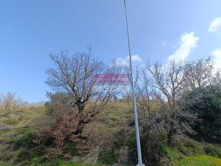 Αγροτεμάχια 6.275 τ.μ. για πώληση, Ν. Ρεθύμνου, Ρέθυμνο-thumb-4