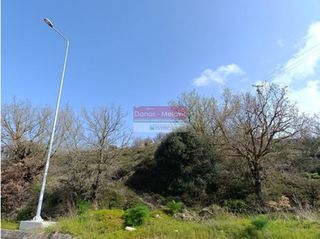 Αγροτεμάχια 6.275 τ.μ. για πώληση, Ν. Ρεθύμνου, Ρέθυμνο-thumb-2