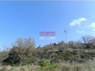 Αγροτεμάχια 6.275 τ.μ. για πώληση, Ν. Ρεθύμνου, Ρέθυμνο-thumb-1