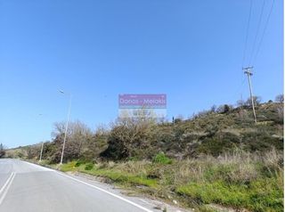 Αγροτεμάχια 6.275 τ.μ. για πώληση, Ν. Ρεθύμνου, Ρέθυμνο-thumb-3