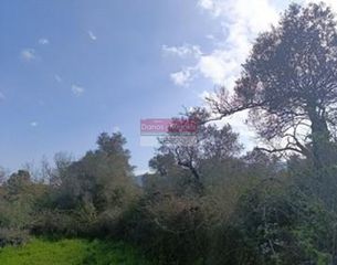 Αγροτεμάχια 1.242 τ.μ. για πώληση, Ν. Ρεθύμνου, Ρέθυμνο-thumb-2