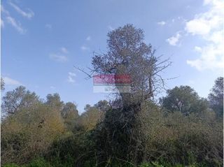 Αγροτεμάχια 1.242 τ.μ. για πώληση, Ν. Ρεθύμνου, Ρέθυμνο-thumb-3
