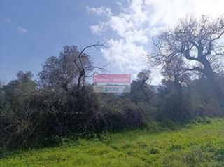 Αγροτεμάχια 1.242 τ.μ. για πώληση, Ν. Ρεθύμνου, Ρέθυμνο-thumb-1