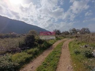 Αγροτεμάχια 4.222 τ.μ. για πώληση, Ν. Ρεθύμνου, Ρέθυμνο-thumb-4