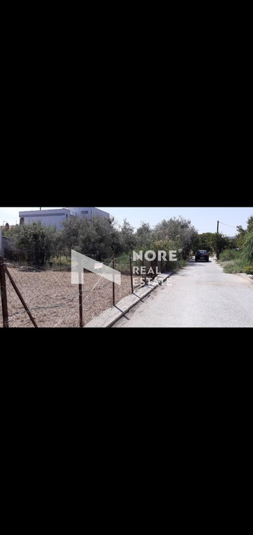 Οικόπεδο 175 τ.μ. προς πώληση, Νέες Παγασές