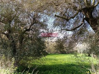 Αγροτεμάχια 1.237 τ.μ. για πώληση, Ν. Ρεθύμνου, Ρέθυμνο-thumb-1