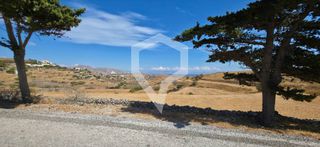Οικόπεδο 2.433 τ.μ. για πώληση
