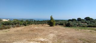 Αγροτεμάχια 4.000 τ.μ. για πώληση