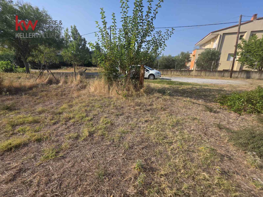 Οικόπεδο 1.256 τ.μ. προς πώληση, Αγία Αναστασία Ανθεμούντα