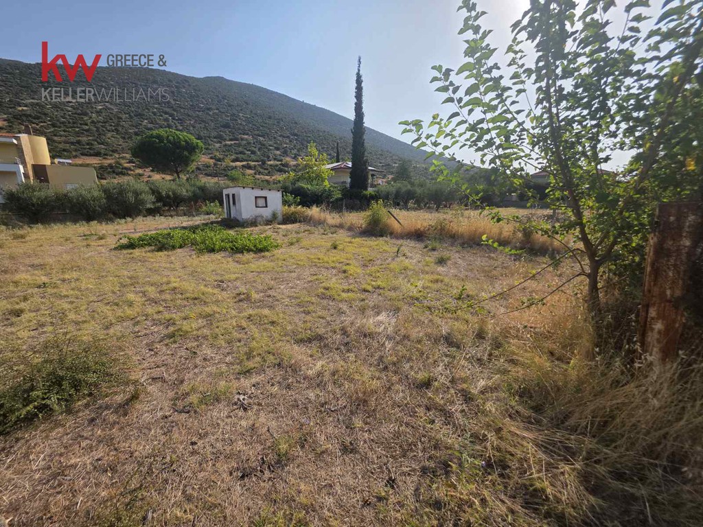 Οικόπεδο 1.256 τ.μ. προς πώληση, Αγία Αναστασία Ανθεμούντα