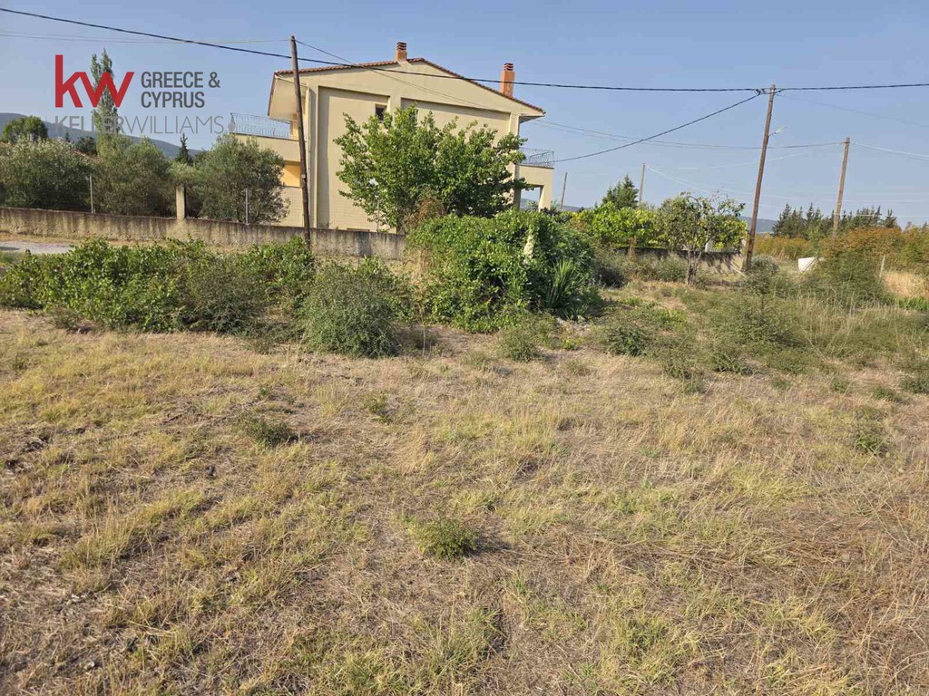 Οικόπεδο 1.256 τ.μ. προς πώληση, Αγία Αναστασία Ανθεμούντα