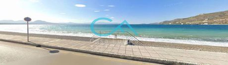 Land plot 10.000 sqm for sale