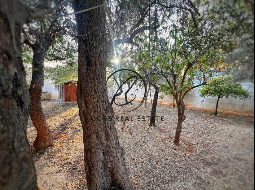 Μονοκατοικία 74 τ.μ. προς ενοικίαση, Σαρωνίδα Αττικής