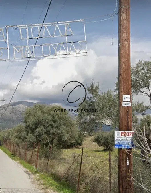 Οικόπεδο 74.557 τ.μ. προς πώληση, Μαγούλα Ερέτριας