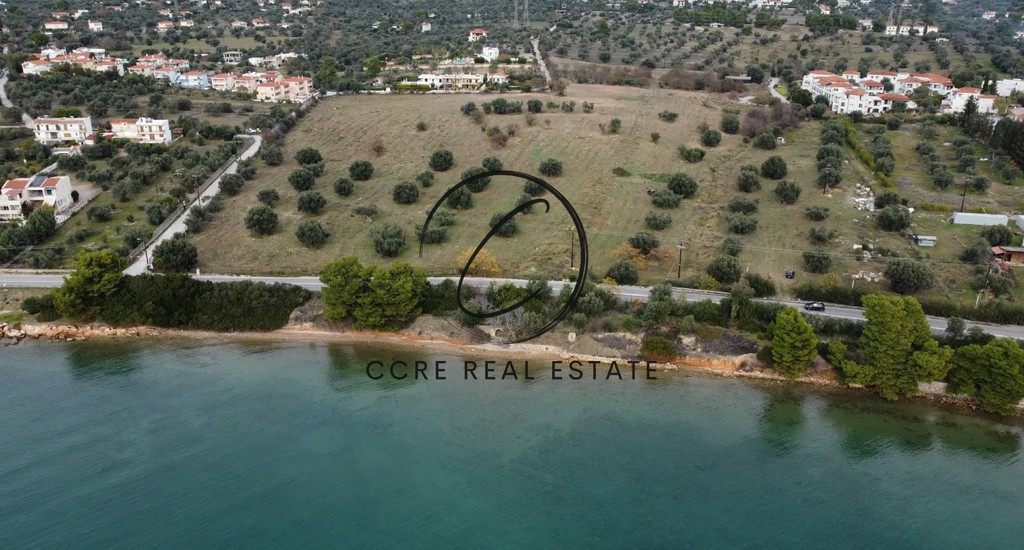Οικόπεδο 74.557 τ.μ. προς πώληση, Μαγούλα Ερέτριας