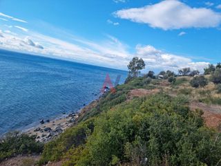 Αγροτεμάχια 4.913 τ.μ. για πώληση