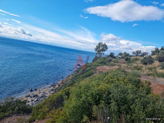 Αγροτεμάχια 4.913 τ.μ. για πώληση, Χαλκιδική, Ορμύλια
