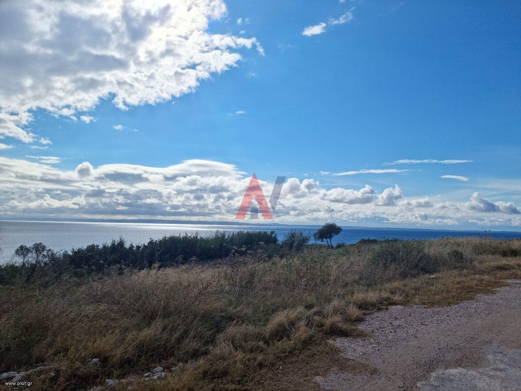 Αγροτεμάχια 4.913 τ.μ. προς πώληση, Ψακούδια