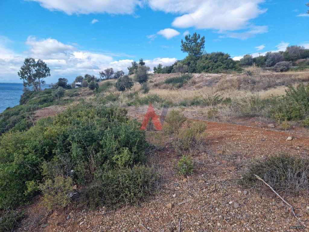 Αγροτεμάχια 4.913 τ.μ. προς πώληση, Ψακούδια